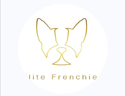 Elite Frenchies Profile Picture