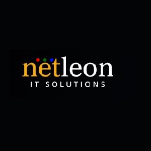 Netleon IT Solutions Profile Picture