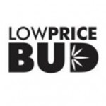 Low Price Bud Profile Picture