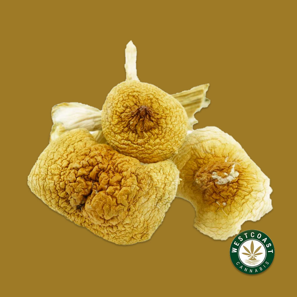 Shrooms Archives - West Coast Cannabis